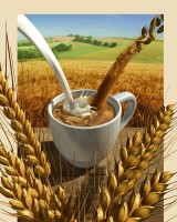/album/food-and-drinks/caro1-jpg/